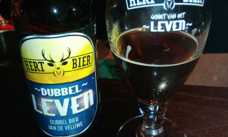 Dubbel Leven